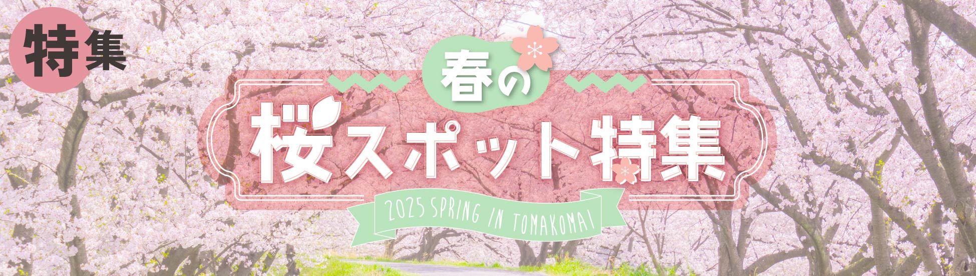 桜スポット特集