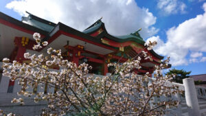 樽前山神社